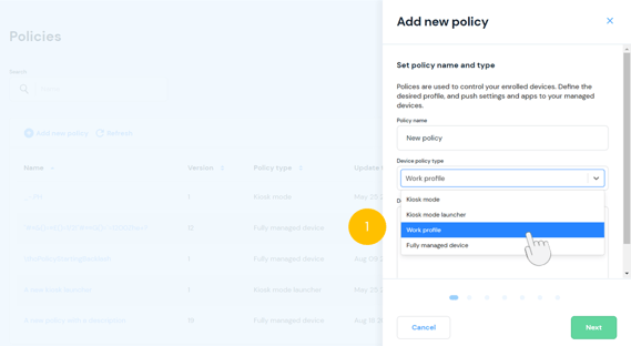 Set policy name and type
